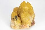 Sunshine Cactus Quartz Crystal Cluster - South Africa #212664-1